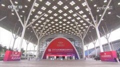 <b>一个文化企业或者一个文化产</b> 