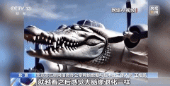 并敏捷激发了大量二次创做 